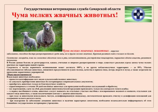 Чума мелких жвачных (ЧМЖ) — острое вирусное заболевание мелких жвачных (в основном овец и коз)