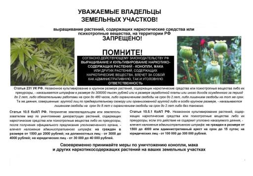 ПАМЯТКА ОБ ОТВЕТСТВЕННОСТИ ЗА НЕЗАКОННОЕ КУЛЬТИВИРОВАНИЕ НАРКОСОДЕРЖАЩИХ РАСТЕНИЙ
