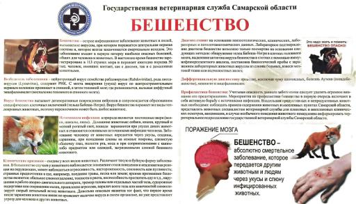 Бешенство памятка!