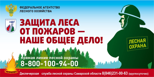 В случае обнаружения возгорания в лесу!