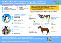 С 1 марта 2024 года стали обязательными учет и маркирование сельскохозяйственных животных в нашем регионе.