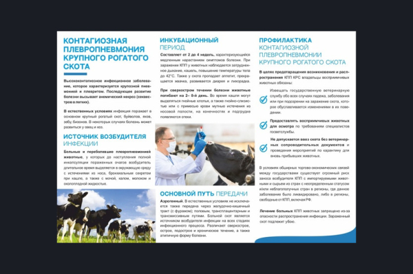 Памятка для населения! Контагиозной плевропневмонии крупного рогатого скота.